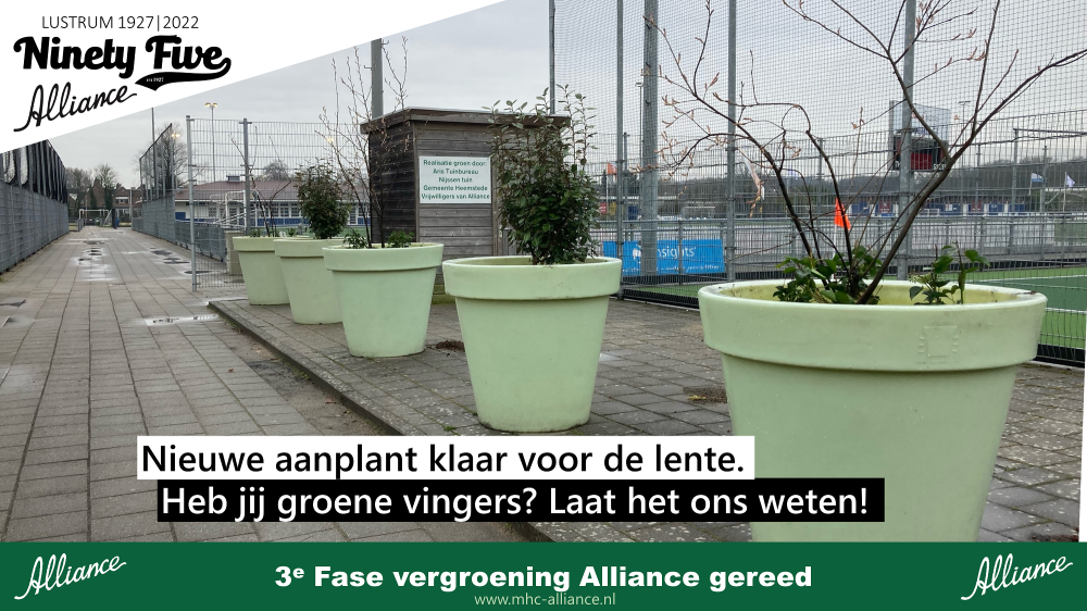 3de fase van nieuw groen op Alliance Nieuws afbeelding