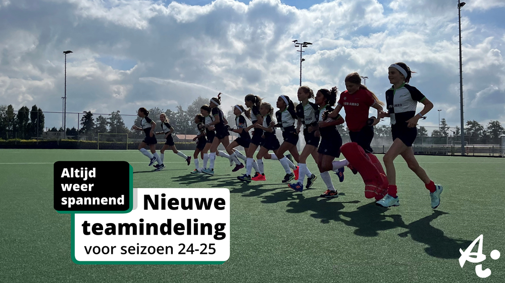 De teamindelingen seizoen 2024-2025 zijn bekend! Nieuws afbeelding