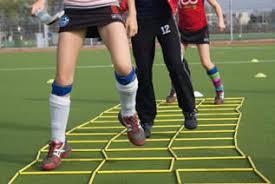 Hockeyagenda komende periode Nieuws afbeelding